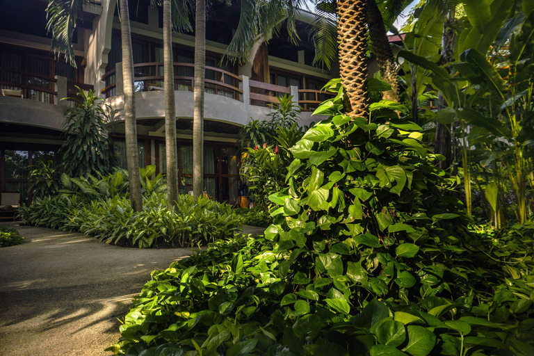 Exterior & Views 2, Capitán Suizo Beachfront Boutique Hotel, Santa Cruz