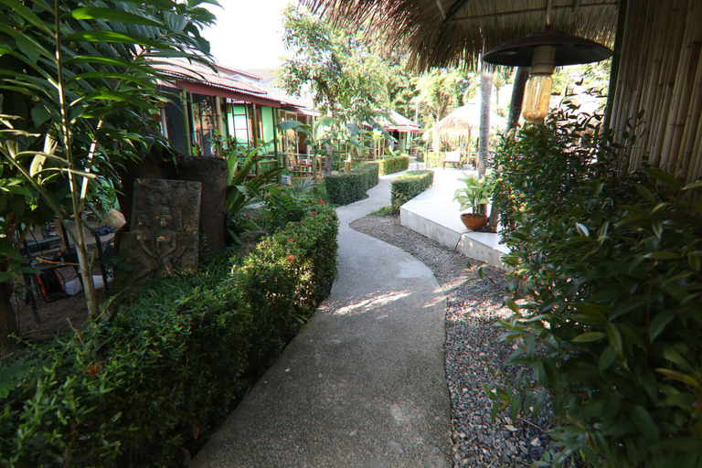 Exterior & Views 2, Avocado, Ko Samui