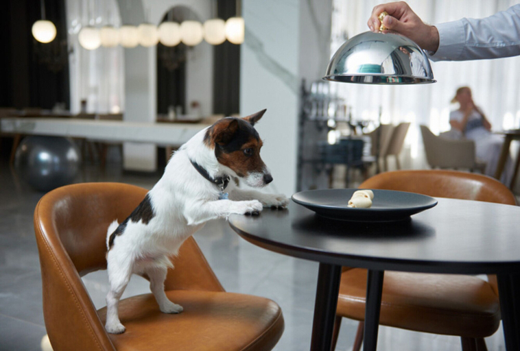 Food & Drinks 5, Boutique Hotel 39, Aksayskiy rayon