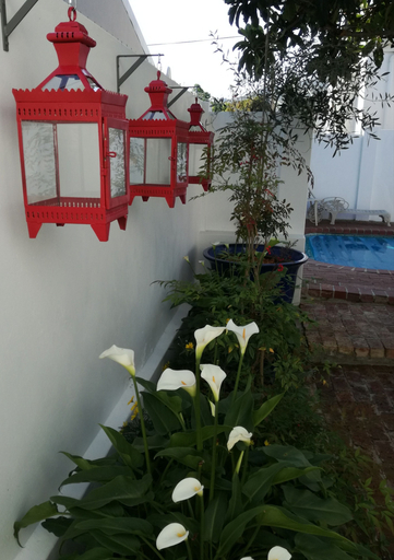 Exterior & Views, Bleu Cobalt Cottage, Cape Winelands