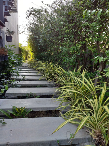 Exterior & Views 2, Plern Salaya Resort, Phuttha Mon Thon