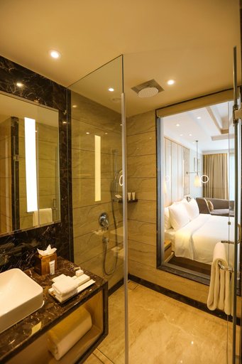 Bathroom 5, Radisson Bhopal, Bhopal