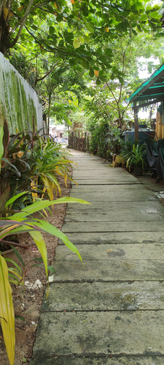 Others 5, Mam Olson Pensionne House, El Nido