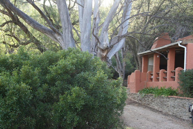 Exterior & Views 2, Matjiesvlei Retreat 1945, Eden