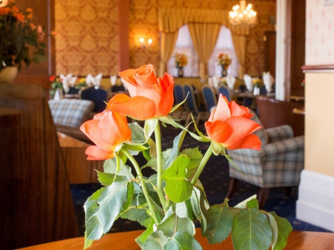 Food & Drinks 5, Furzedown Hotel, Norfolk