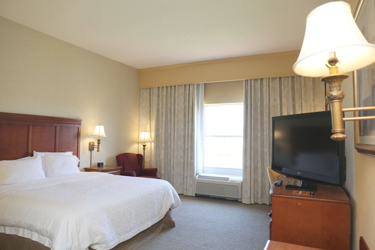 Bedroom 3, Hampton Inn Manning, Clarendon