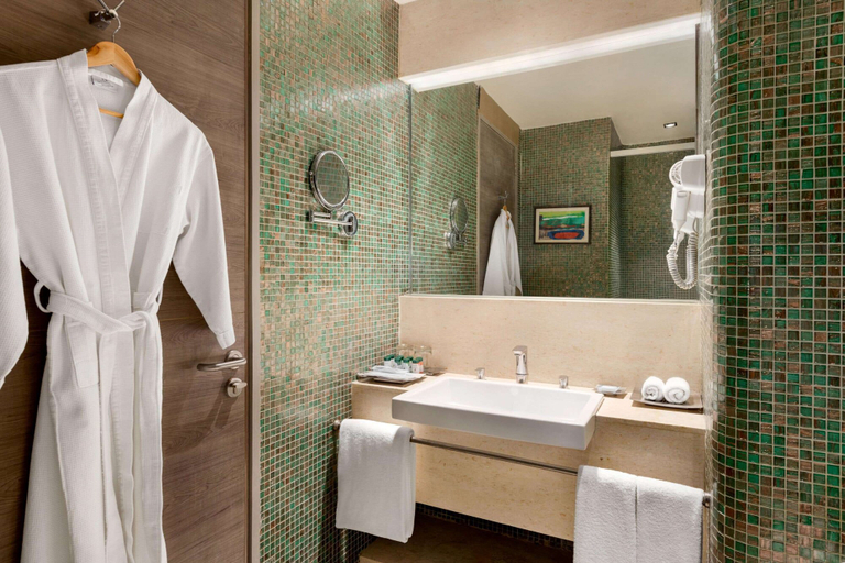 Bathroom 5, Wyndham Ahmedabad Shela, Ahmadabad
