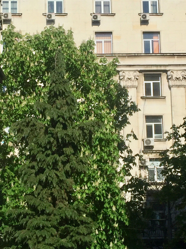 Exterior & Views, Apartments next to Opera, Stolichna