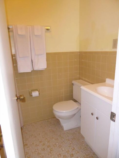 Bathroom 4, Swell Motel, Dare