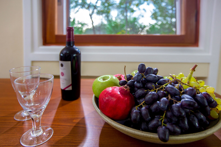 Food & Drinks, Hacienda Olivo, Ionian Islands