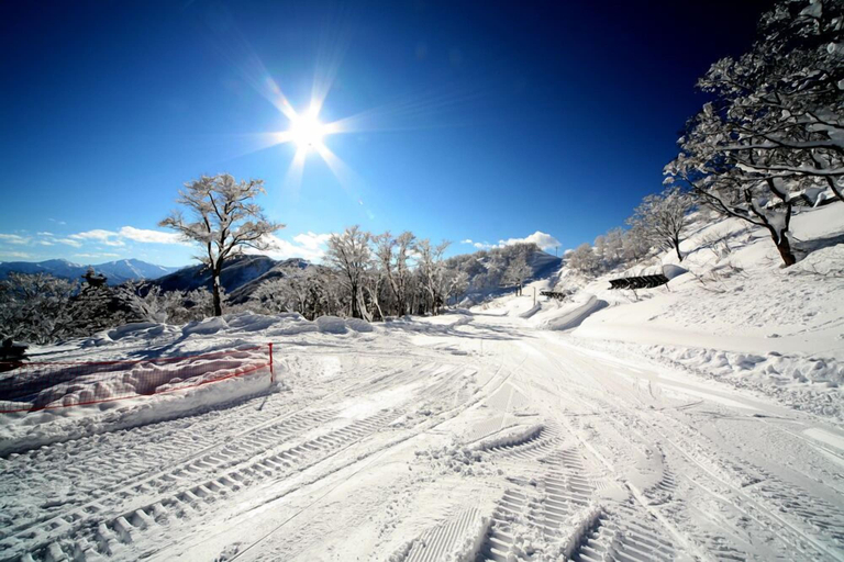 Others 5, Yuzawa Ski House, Minamiuonuma