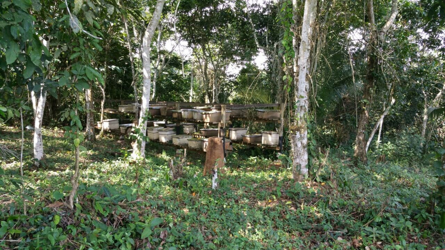 Others 4, Nakoosi Eco Lodge & Backpackers, Mukono