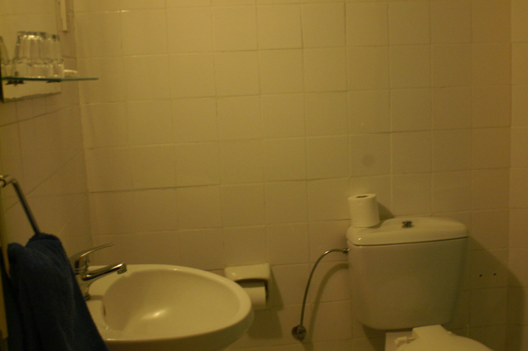 Bathroom 3, The Caravel Hotel
