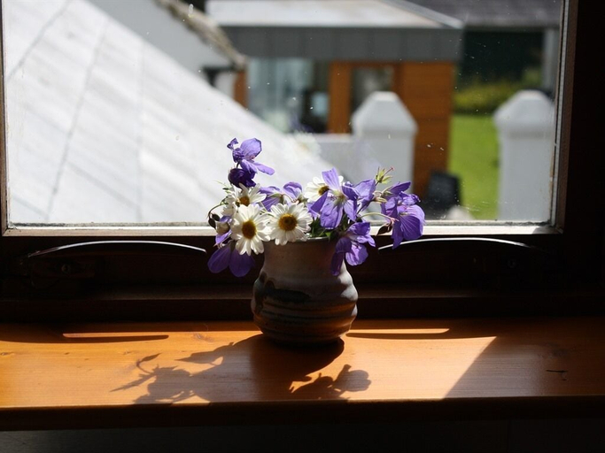 Others 5, Ballylagan Organic Farm, Antrim and Newtownabbey