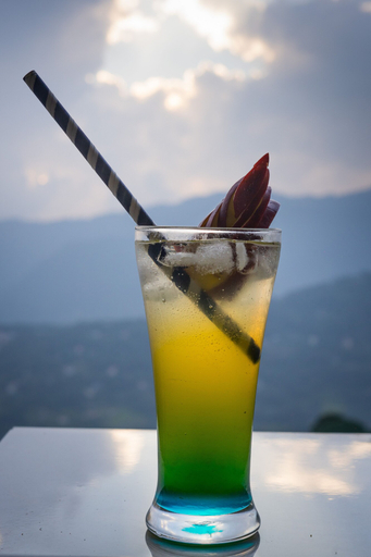 Food & Drinks 5, Hotel Shinkham Grand, East Sikkim