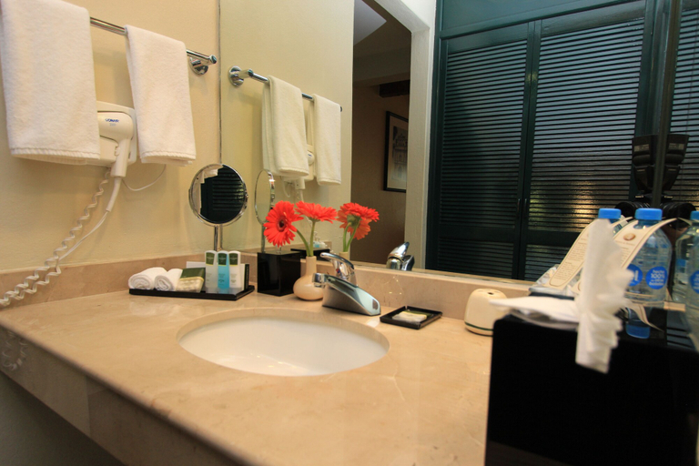 Bathroom 3, Hotel Villa Mercedes San Cristobal, San Cristóbal de las Casas