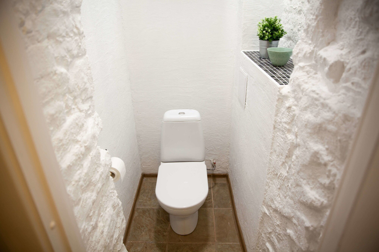 Bathroom 2, City of Rivers on Nevsky 74, Sankt-Peterburg gorsovet