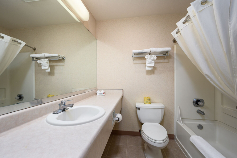 Bathroom 3, Three Rivers Inn, Skagit