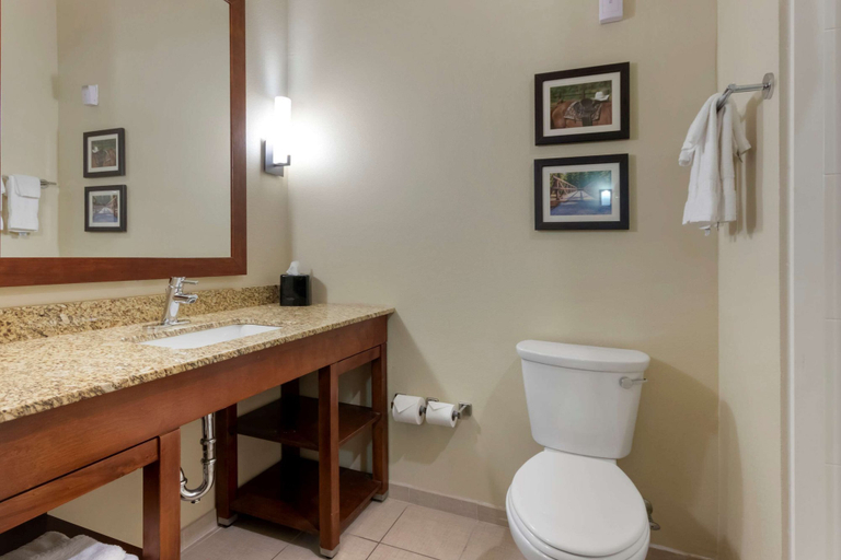 Bathroom 4, Comfort Suites Billings, Yellowstone