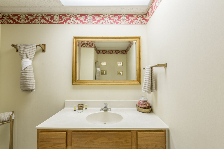 Bathroom 4, A Bears View, Sevier