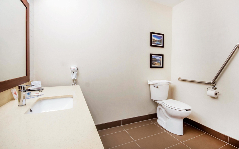 Bathroom 3, Comfort Inn & Suites, Thompson-Nicola