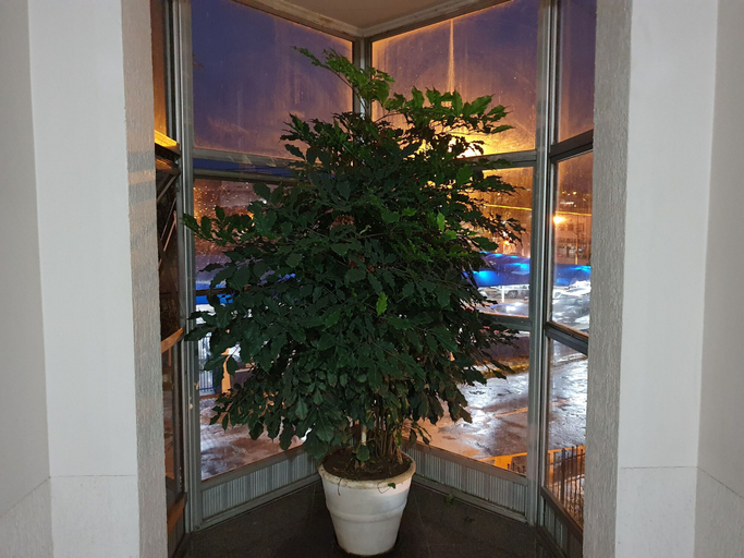 Others 5, Ancona Center Hotel, Américo de Campos