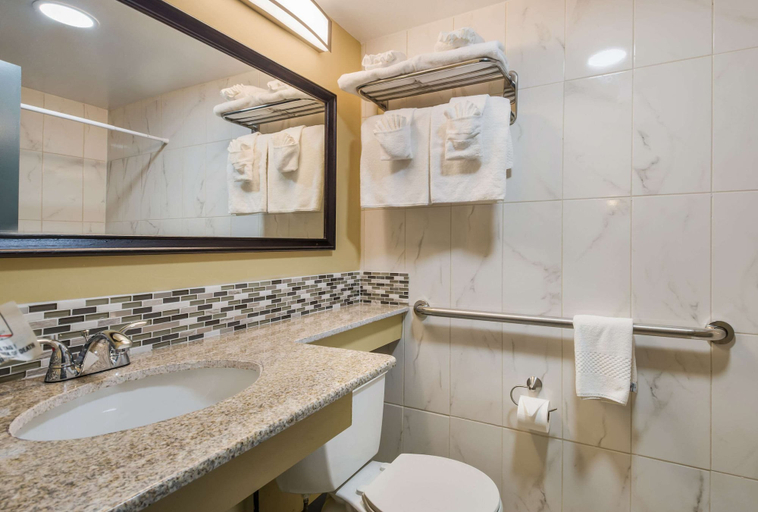 Bathroom 5, Suburban Studios Buffalo Airport, Erie