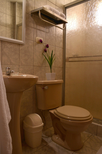 Bathroom 3, Hotel Jkalixto, Arequipa
