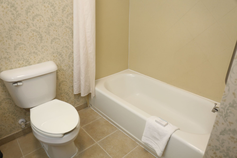 Bathroom 4, Hampton Inn Manning, Clarendon