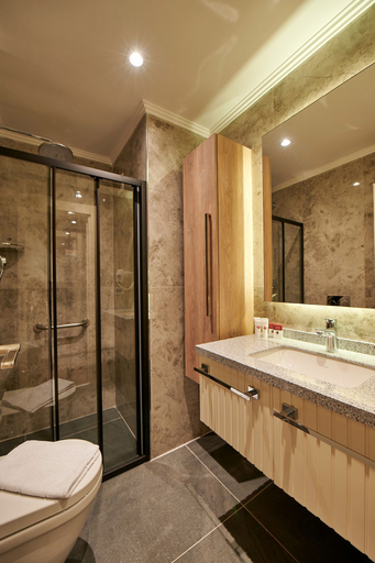 Bathroom 5, Livinton Hotel, Maltepe