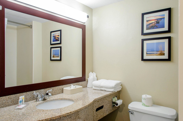 Bathroom 4, Comfort Inn & Suites Biloxi - D'Iberville, Harrison