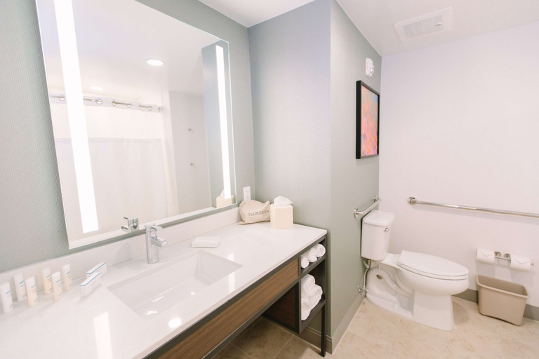 Bathroom 4, Hilton Garden Inn Winter Park, Orange