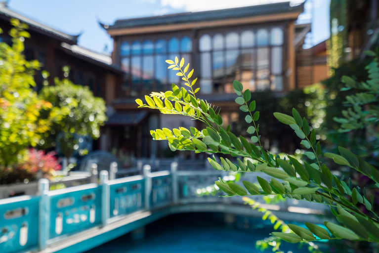 Sport & Beauty 2, The Ritz-Man Boutique Inn Lijiang, Lijiang
