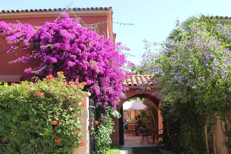 Exterior & Views, EL ARBOL HOSTEL, Elqui