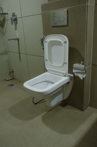 Bathroom 4, Hotel Shinkham Grand, East Sikkim