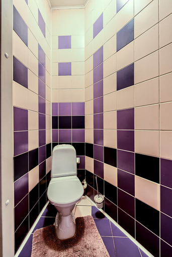 Bathroom 2, Oksanas Nevskiy 88, Sankt-Peterburg gorsovet