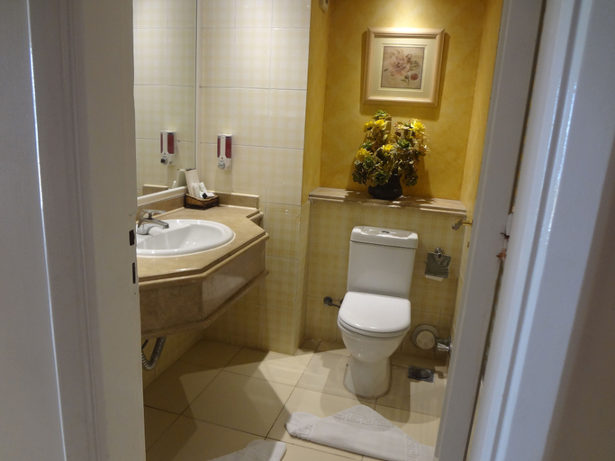 Bathroom 5, Swiss Inn Nile Hotel, Giza