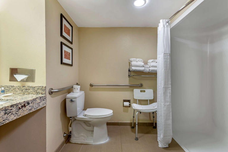 Bathroom 4, Comfort Suites Newark - Harrison, Newark