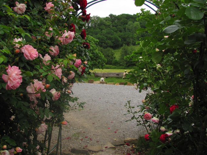 Others 5, Chambres d'hôtes Gélous, Pyrénées-Atlantiques