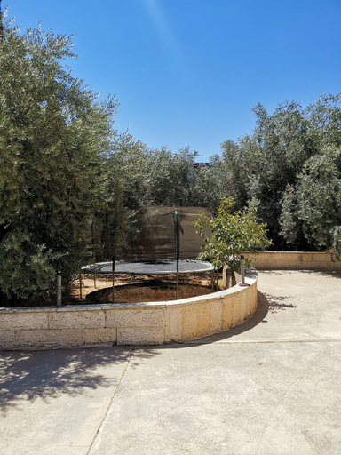 Others 5, Olive Palace Restaurant and Lounge, Bethlehem