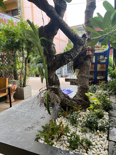 Exterior & Views, BB House Budget & Boutique, Muang Chiang Mai