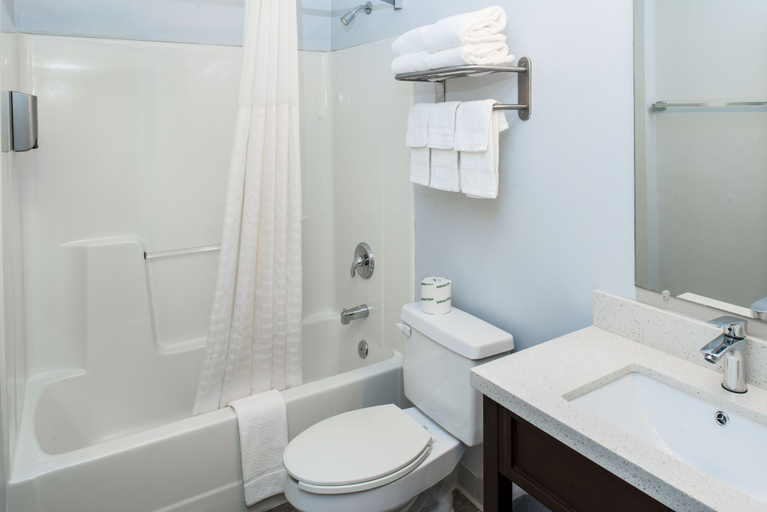Bathroom 4, Luxbury Inn & Suites, Blount