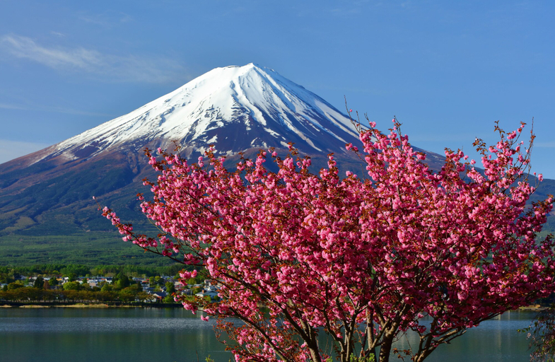 Others 4, Cottage Tozawa Center, Fujikawaguchiko