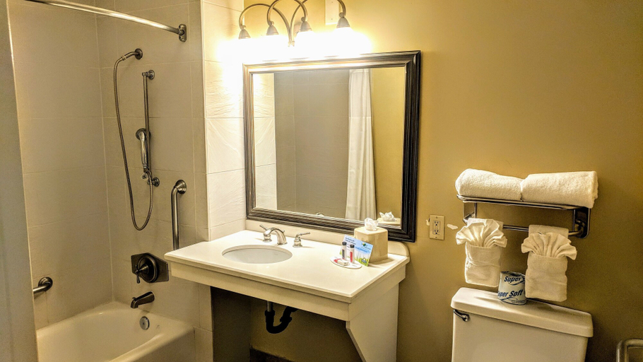 Bathroom 4, Days Inn by Wyndham San Diego Hotel Circle, San Diego