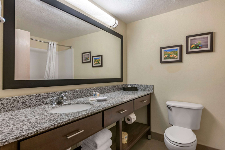 Bathroom 4, Comfort Suites Maingate East, Osceola