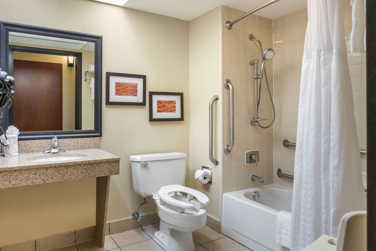 Bathroom 5, Comfort Inn Grand Rapids Airport, Kent