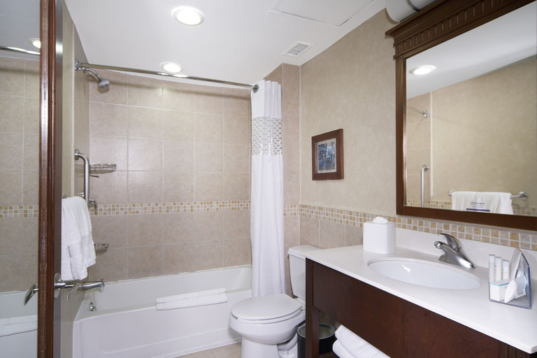 Bathroom 4, Hampton Inn & Suites Mexico City - Centro Historico, Mexico City