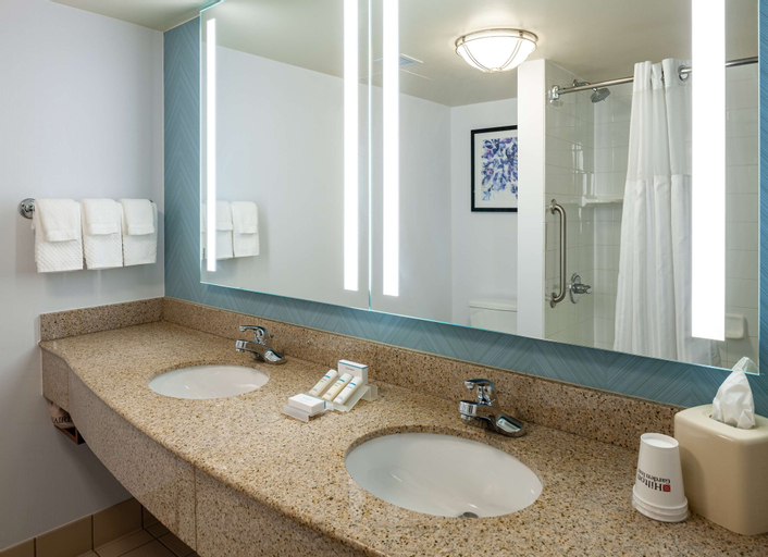Bedroom 4, Hilton Garden Inn Chicago OHare Airport, Cook