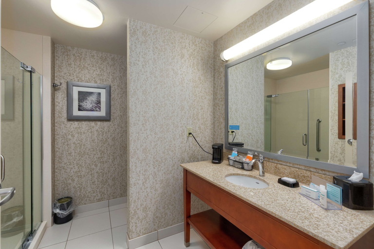 Bathroom 4, Hampton Inn & Suites Downtown Owensboro/Waterfront, Daviess