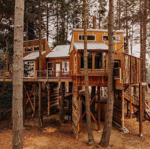 Exterior & Views 2, Treehouse over the water - Eagle's Nest, Clallam